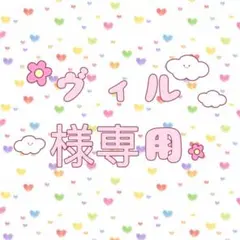 ヴィル様 リクエスト 2点 まとめ商品