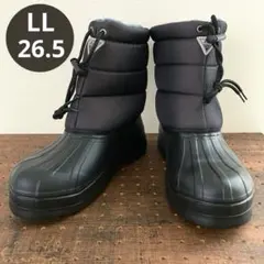 Item thumbnail for item 26f2e3c1-1bf6-419a-aaf3-2175961561fa