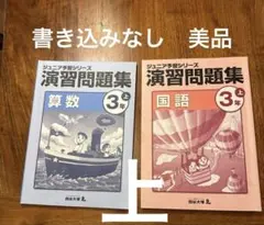 Item thumbnail for item 365e6f5e-8fe5-4272-9d1e-a5b298500abc