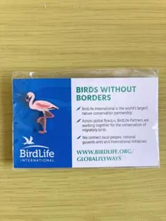 Item thumbnail for item 71174180-044a-4211-91a8-b1823375599b