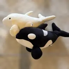 2026年最新】名古屋港水族館シャチの人気アイテム - メルカリ