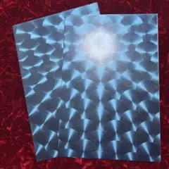 스케일 스테인리스 스틸 플레이트, 300mm x 200mm, 2개 세트, 스케일드 플레이트
