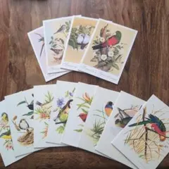 Item thumbnail for item fd047fea-aa30-4fa9-910f-4bb14de8357f