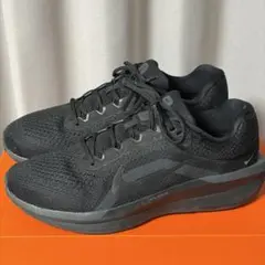 ナイキ エア ウィンフロー 11 28.0cm ランニング