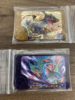 レックウザ　ボーマンダ　ポケモンフレンダ