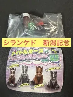 アイドルホースミニコレクション シランケド 新潟記念