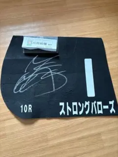 2026年最新】川田将雅 サインの人気アイテム - メルカリ