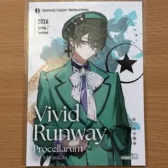 ピカたん様 リクエスト 2点 まとめ商品