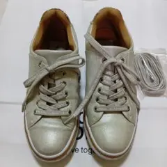 LANVIN en Bleu スニーカー 23.5のサムネイル