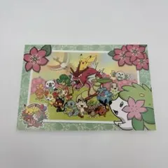 ポケモンセンターオンライン 20周年記念 月替わりポストカード
