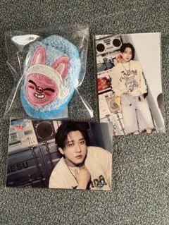 チャンビン アイドル