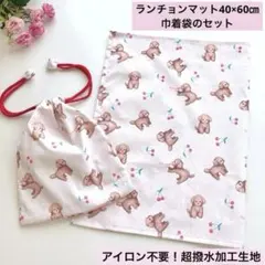 アイロン不要！超撥水加エ生地のランチョンマット40×60㎝と巾着袋　わんちゃん柄