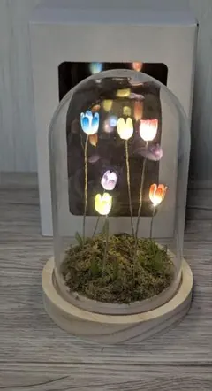 チューリップ　ガラスドーム