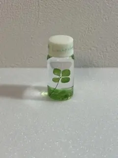 Item thumbnail for item b1469b7a-161f-4038-958e-8093bec3ba75