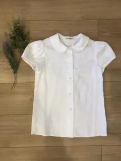 ホワイト 襟付き 半袖シャツ