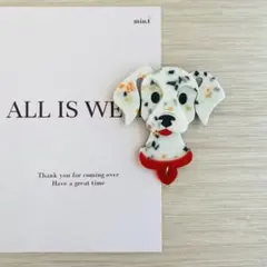 【限定1点】 ブローチ アクリル アクセサリー ヘアクリップ 【B118】