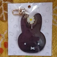 Item thumbnail for item e94d32cf-1aec-42ba-8d3a-5ee679e0d6e0