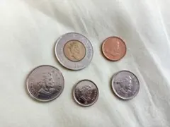 2025年最新】カナダ 記念硬貨の人気アイテム - メルカリ