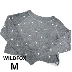 Item thumbnail for item cd8ee536-5150-46c8-8cce-32adf7ef279b