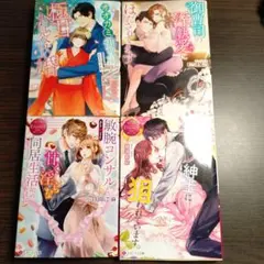 tl小説　4冊セット エタニティ文庫