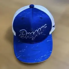 Item thumbnail for item f8df0e7b-66cf-4bb4-87a2-1fa72f86b529