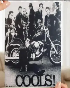 クールス ミュージシャン