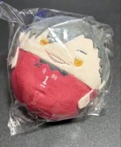 ハイキュー!! ぬいくじ2 E賞 黒尾鉄朗 - メルカリ