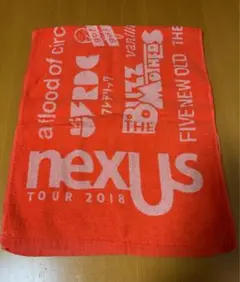 ヒトリエ　nexUs タオル