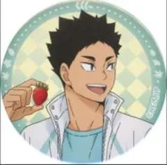 ハイキュー　岩泉一　缶バッジ　9個　スイパラ