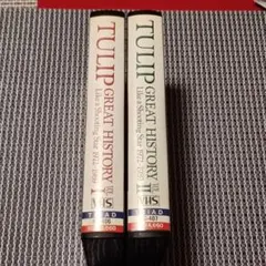 Item thumbnail for item e9594582-15e2-4169-b841-19537dadf594