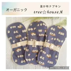 Item thumbnail for item 03332ec7-7957-477a-beab-f5a244bbdd30