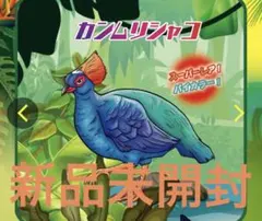 ジャングル&coビック カンムリシャコ