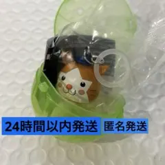 DB.スターマン　プロ野球マスコットめじるしアクセサリー横浜DeNAベイスターズ