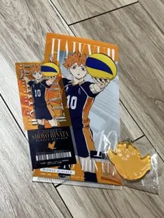 ハイキュー!! 日向翔陽 キーホルダー チケットケース