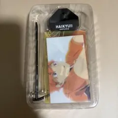 ハイキュー　ユニフォームコレクション　日向　烏野