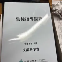 生徒指導提要