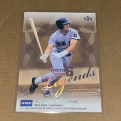 2026年最新】北海道日本ハムファイターズ 埼玉西武ライオンズの人気