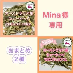 ★Mina様専用★おまとめ2種