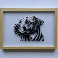 Item thumbnail for item f7e52778-b4e7-4a91-8d9b-3b83334aa191