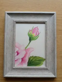 2025年最新】薔薇の水彩画の人気アイテム - メルカリ 【優しく包み込む