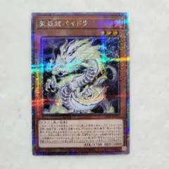 2025年最新】クオシクの人気アイテム - メルカリ