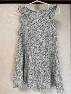 Item thumbnail for item d7815853-4e18-4026-9529-6ce70766d77c