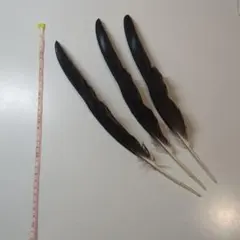フライタイイングマテリアル ホロホロ鳥の羽 - メルカリ