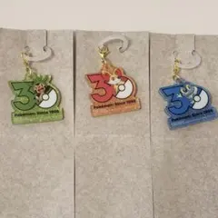 ポケットモンスター ポケチャーム 30周年 ハリマロン フォッコ ケロマツ