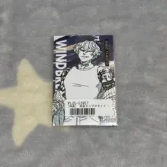 WIND BREAKER ウィンブレ 棪堂哉真斗 アニプレックス ミニブロマイド