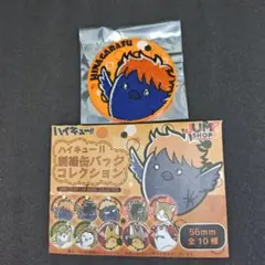 ハイキュー‼︎ 刺繍缶バッジコレクション ヒナガラス 日向翔陽