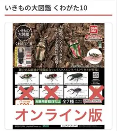 いきもの大図鑑　くわがた10 4種セット　オンライン版　新品未開封　匿名配送