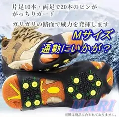 Item thumbnail for item d7022602-056e-4ca9-b96b-19b819f04610