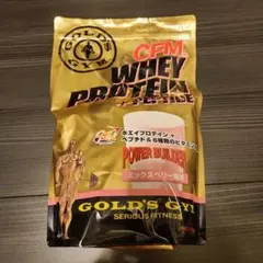 GOLD'S GYM ◇ゴールドジム◇プロテイン ミックスベリー風味900g