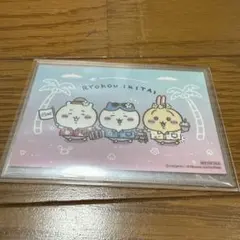 バラ売り】ただのかえるたち 耐光、耐水ステッカー - メルカリ